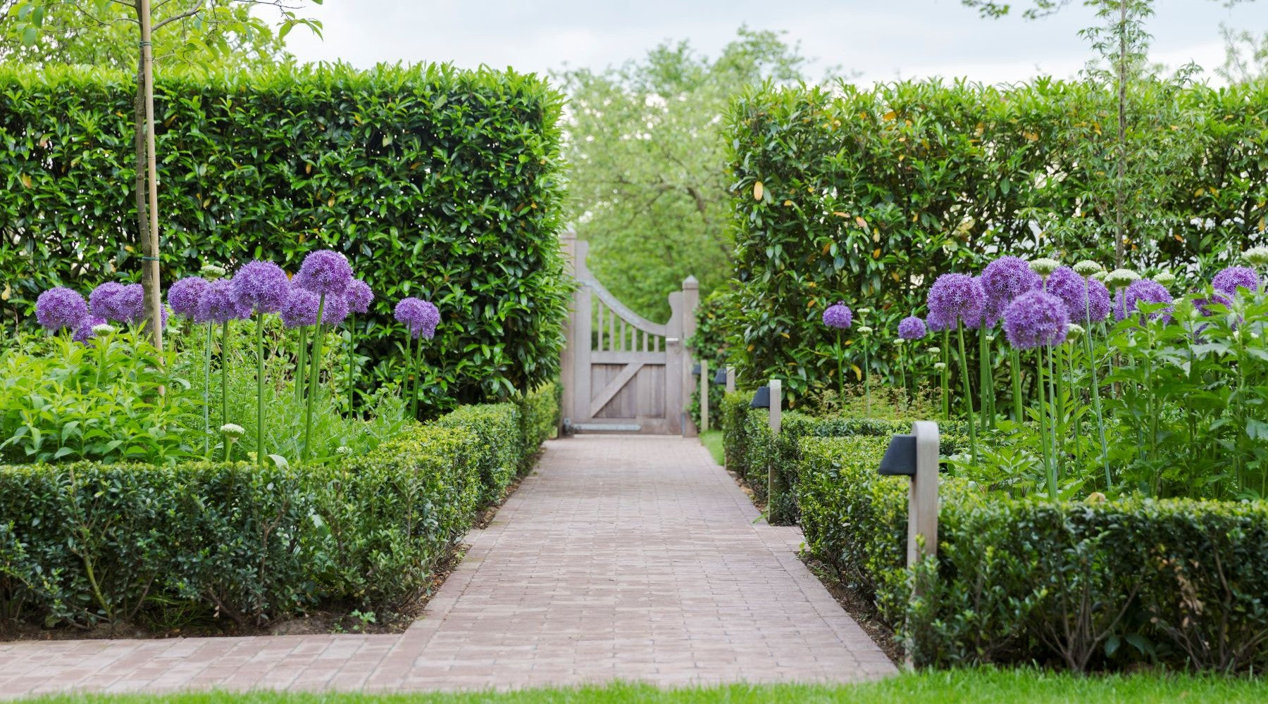 Ontdek het Najaarsassortiment van JUB Holland bij Inkoopgilde