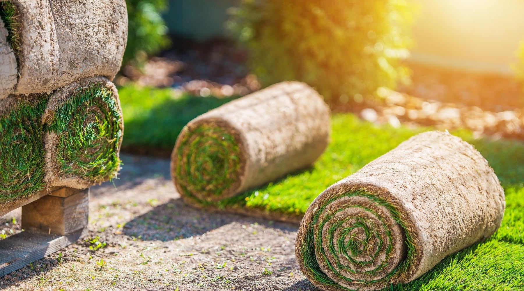 Het aanleggen van een gazon