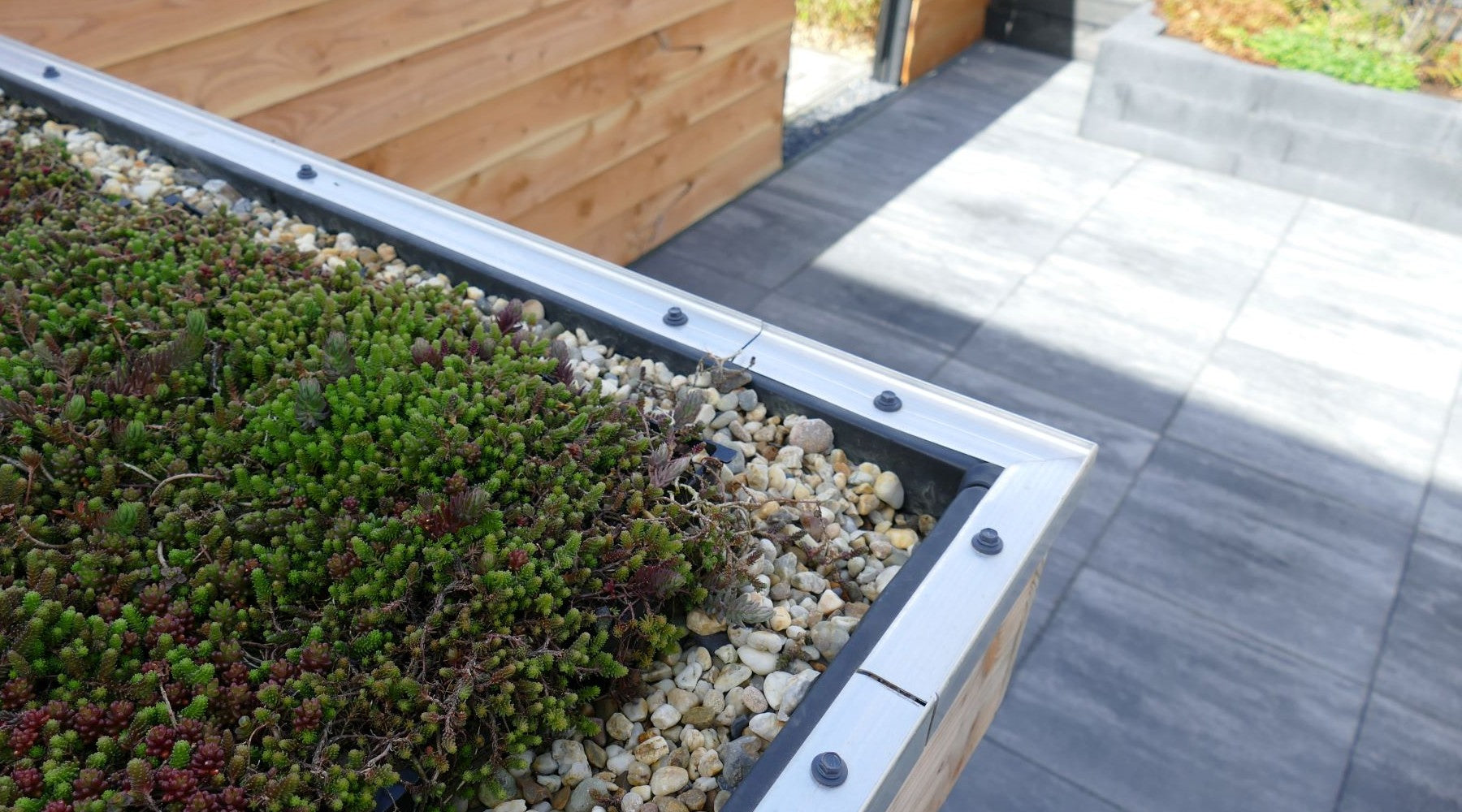 Biodiversiteit begint in onze eigen tuinen