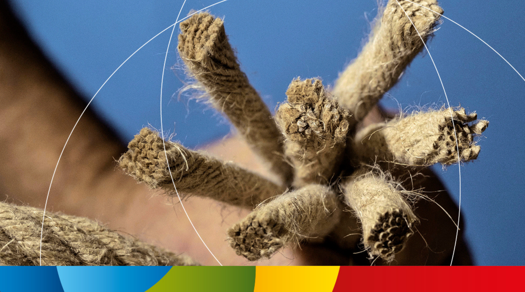 Begin het jaar goed met investeren in je team en persoonlijke groei!