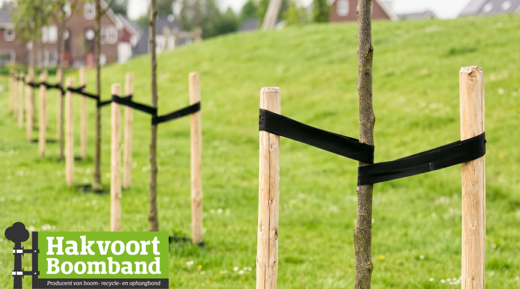 Hakvoort Boomband HVG Geweven: betrouwbare ondersteuning voor jonge aanplant