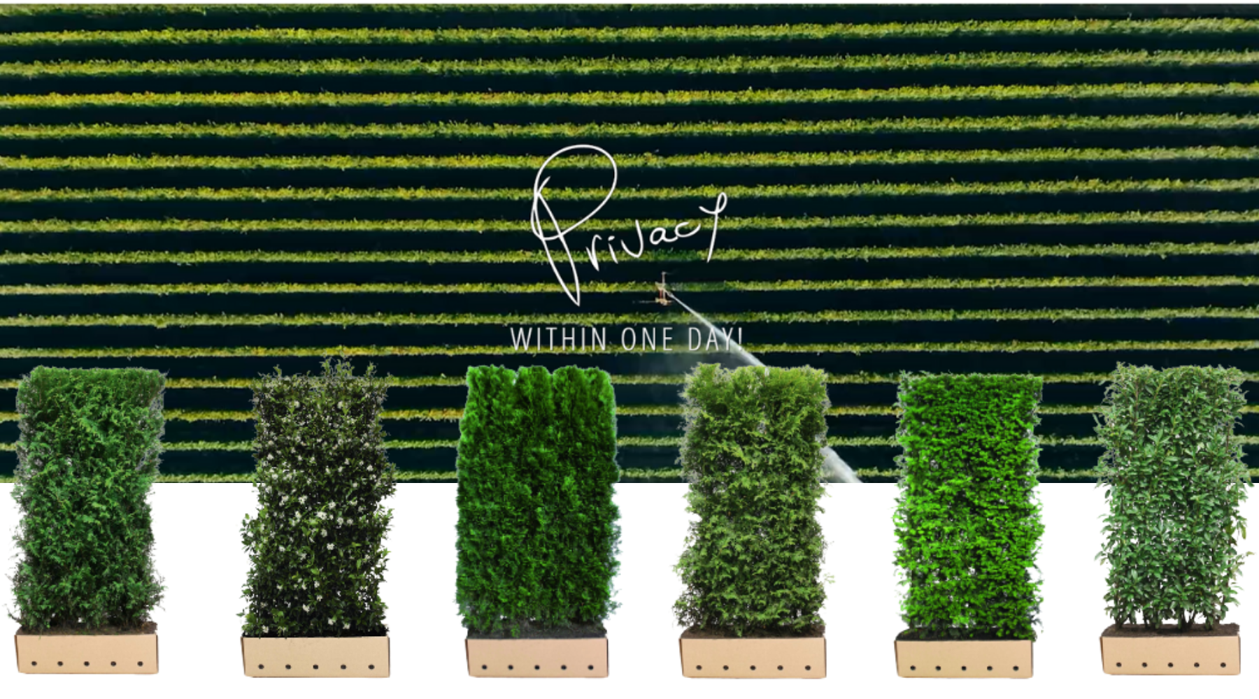 QuickHedge: De Slimme Keuze voor Tuinaanleg en Privacy