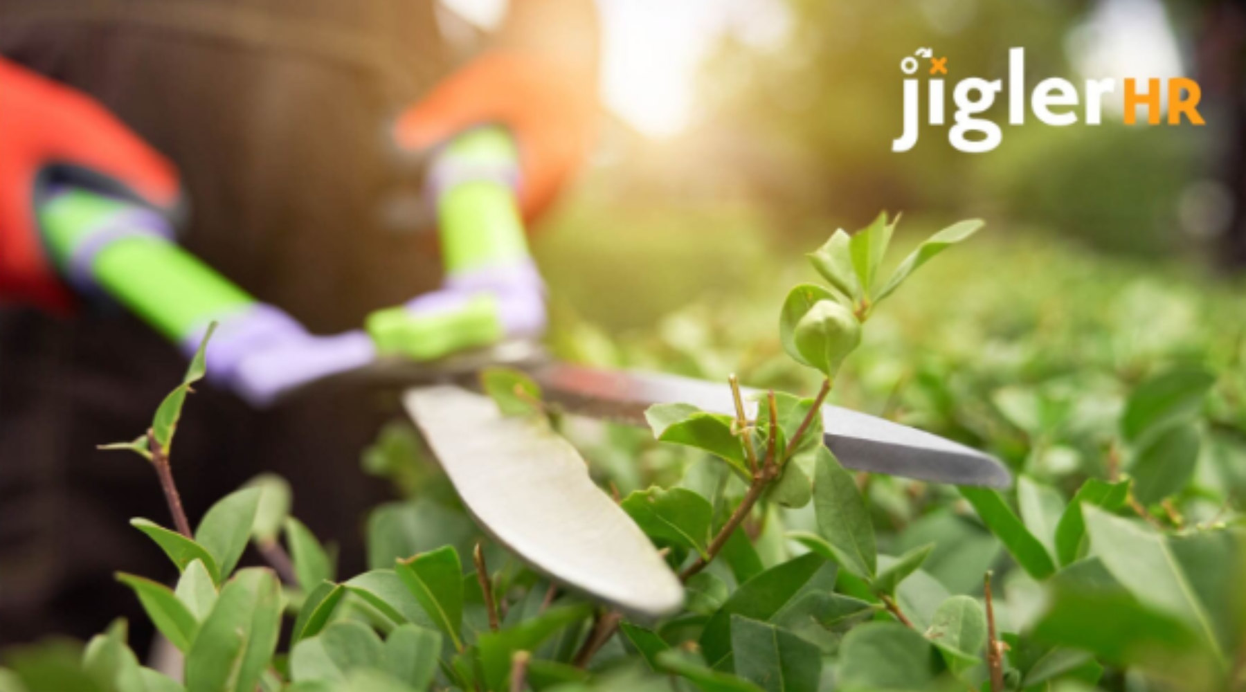 Keuzehulp: uitzenden of payroll?