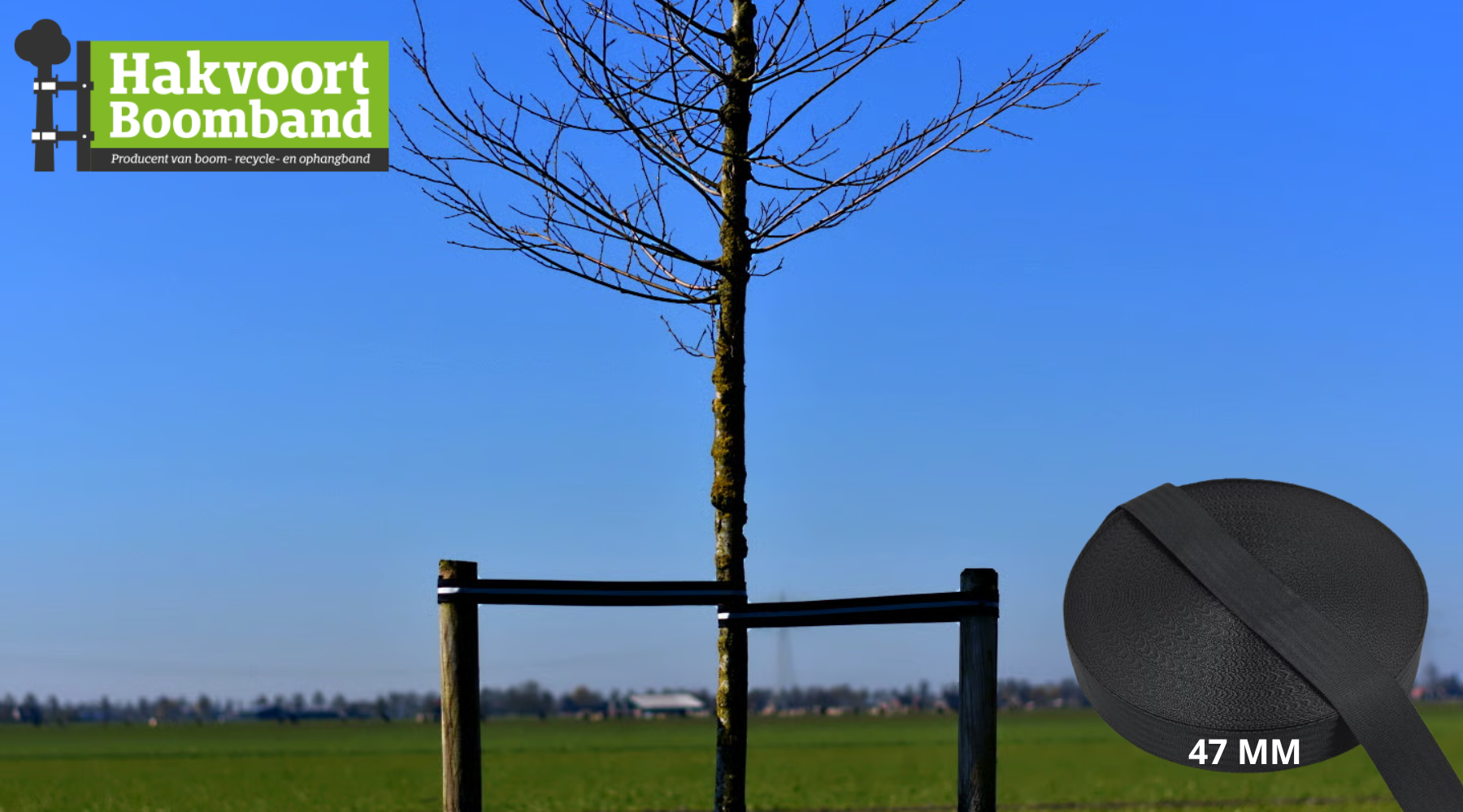 Sterke ondersteuning voor gezonde groei