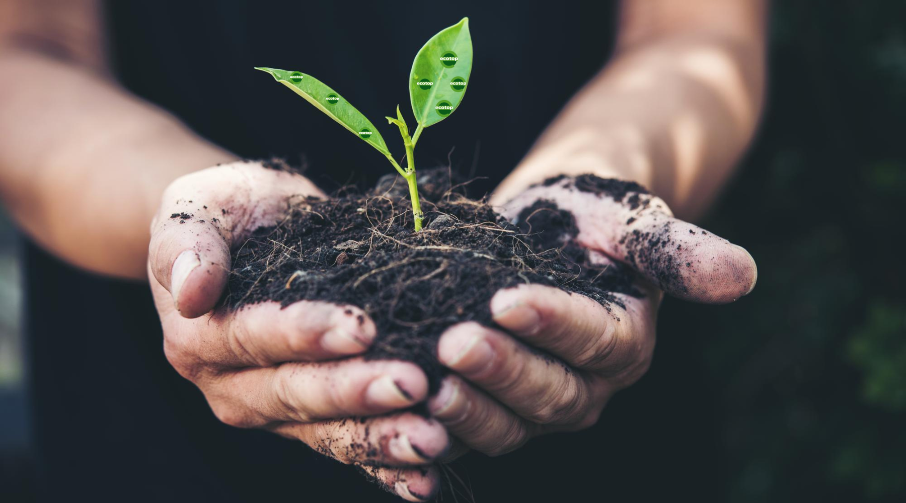 Ecotop Blend 1 | Langdurige voeding voor een gezonde groei
