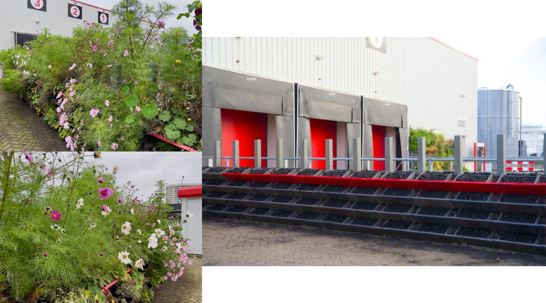 Hoe maak je een groene gevel van rood plastic afval?