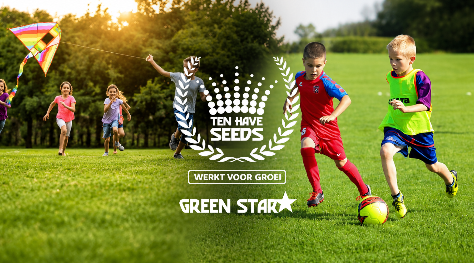 Ten Have Seeds | Speelgazon of sportveld? Kies het juiste gras voor intensief gebruik