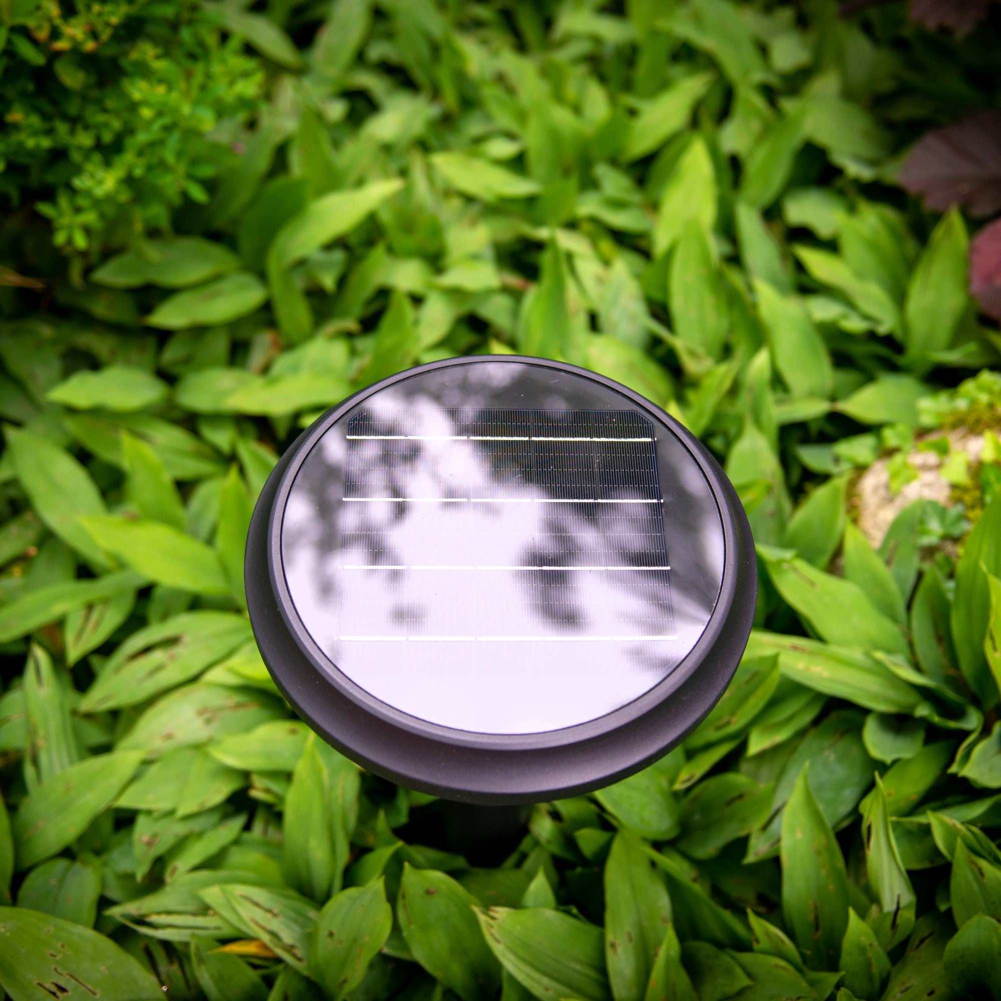 Iplux® Solar Lamp Staand Paris 30cm