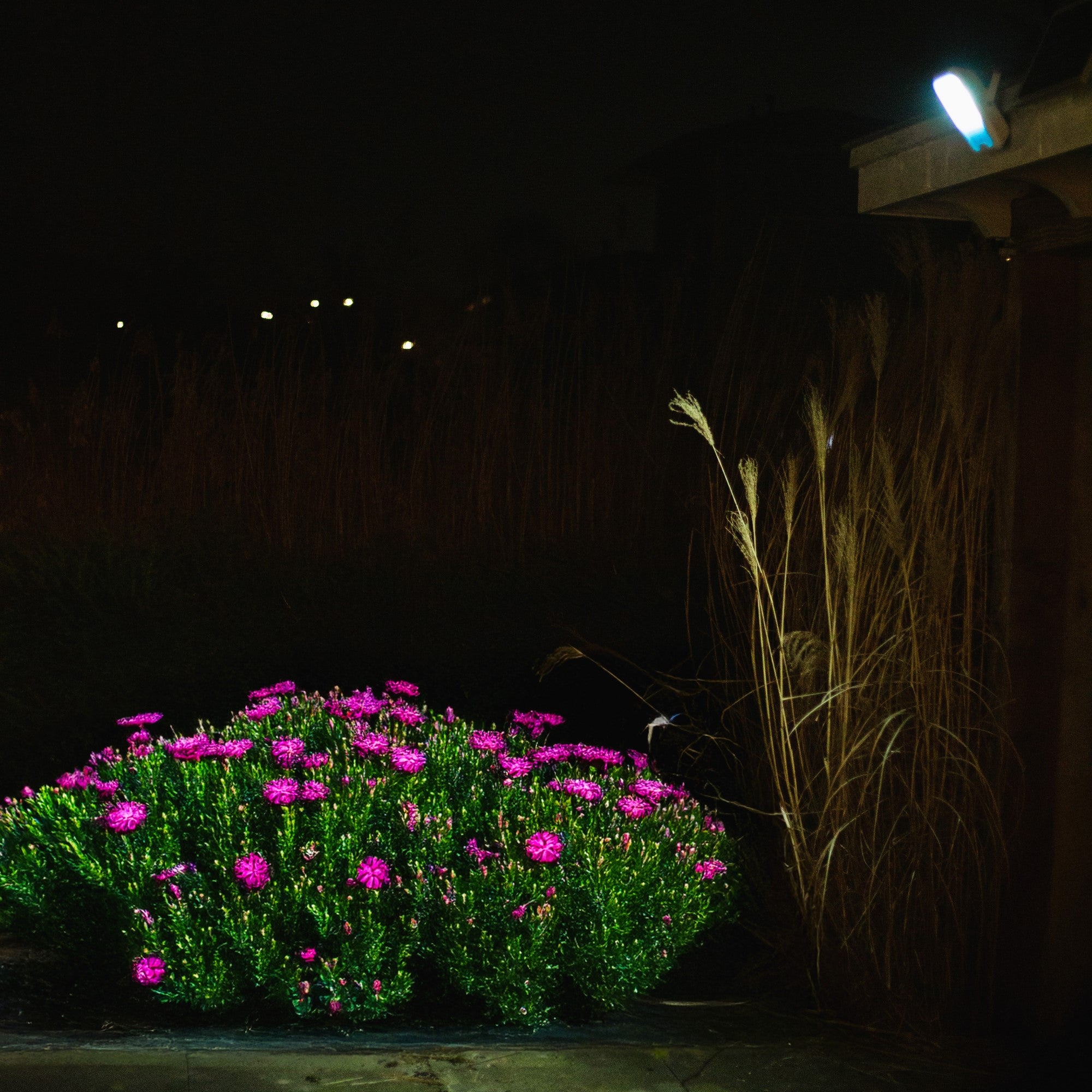 Iplux® Solar LED Schijnwerper PowerBeam Elite 4000lm