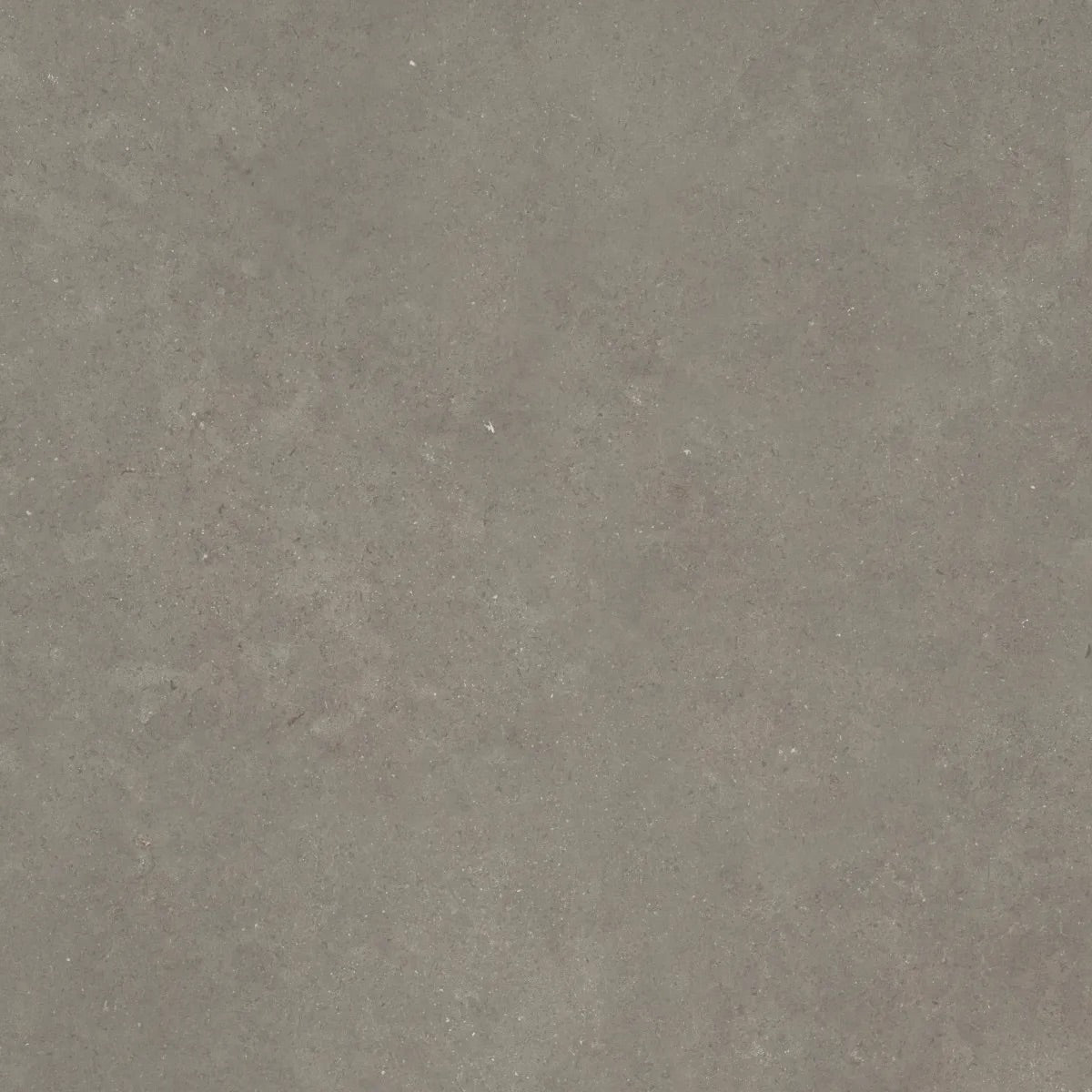 Cerasolid Cortona 60x60x3 Musk