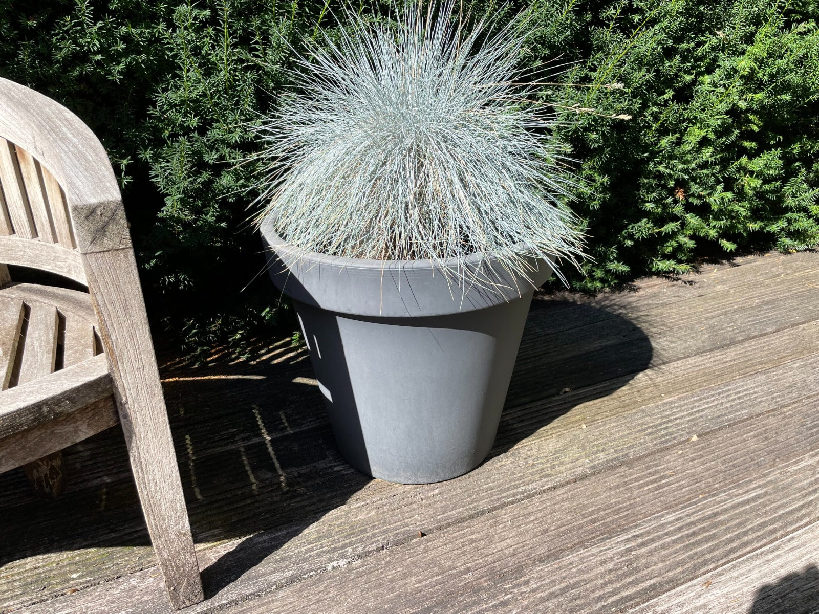 Composiet & Polyester Protector