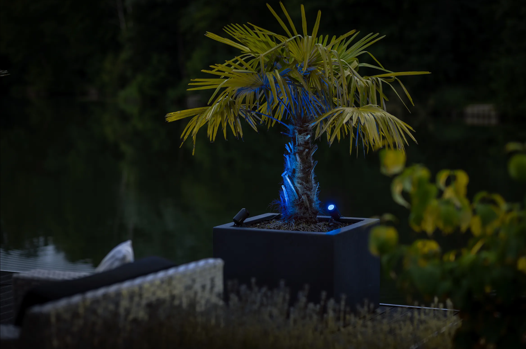 Castor SMART (Zigbee)