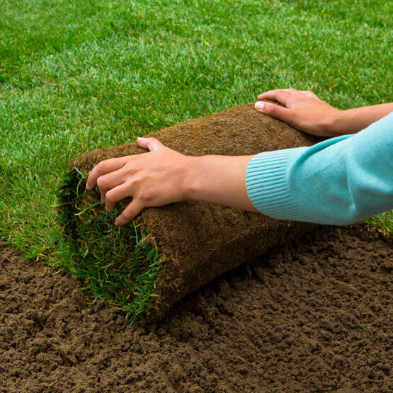Ecologische Graszoden