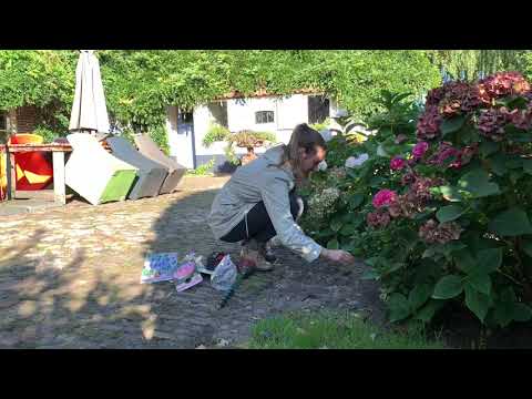 Bollenboor 30mm | 45mm | 70mm