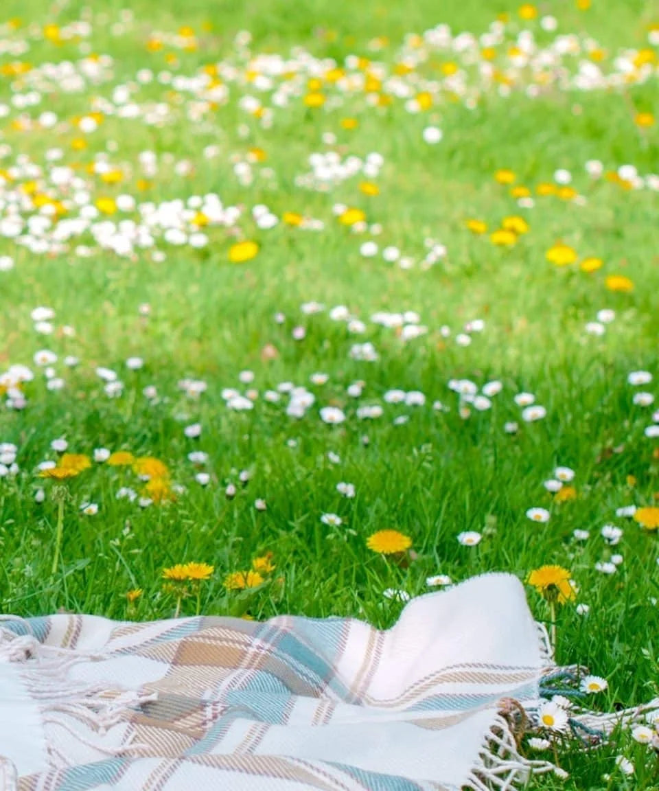 EcoGazon voor openbaar groen en particuliere tuinen