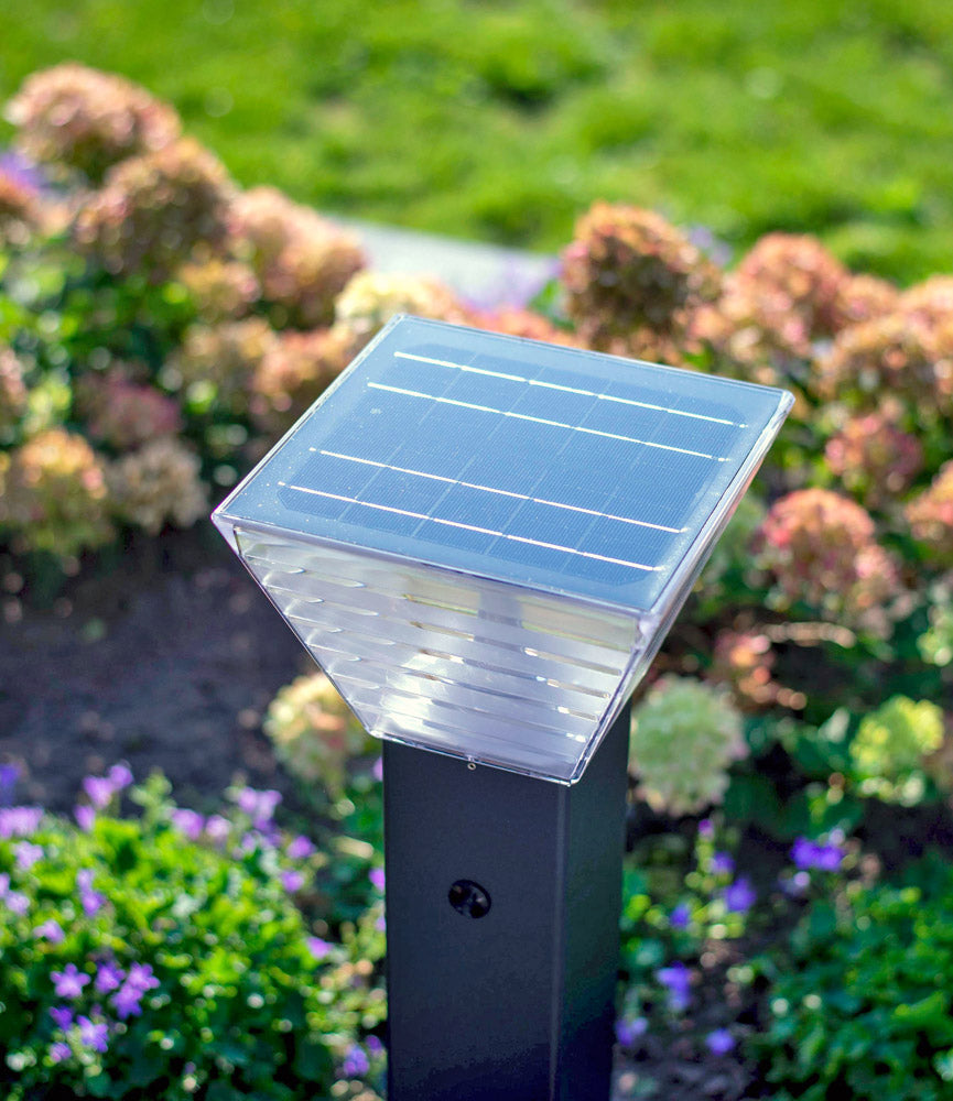 Iplux® Solar Lamp Staand Berlin 40cm