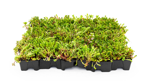 Mobilane MobiRoof ECO