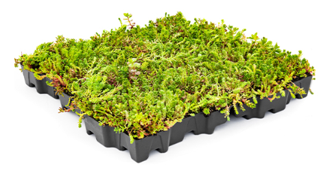 Mobilane MobiRoof ECO