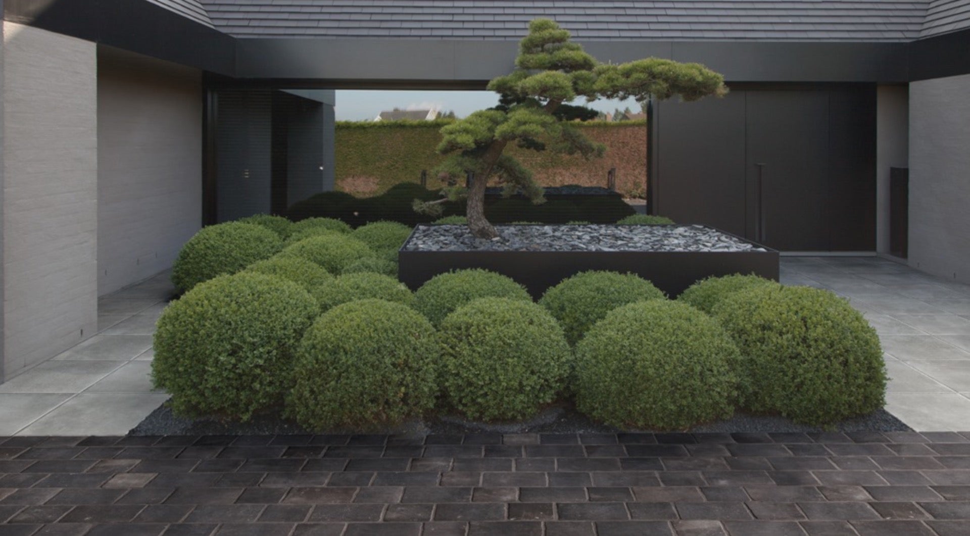 Terras en oprit reiniger