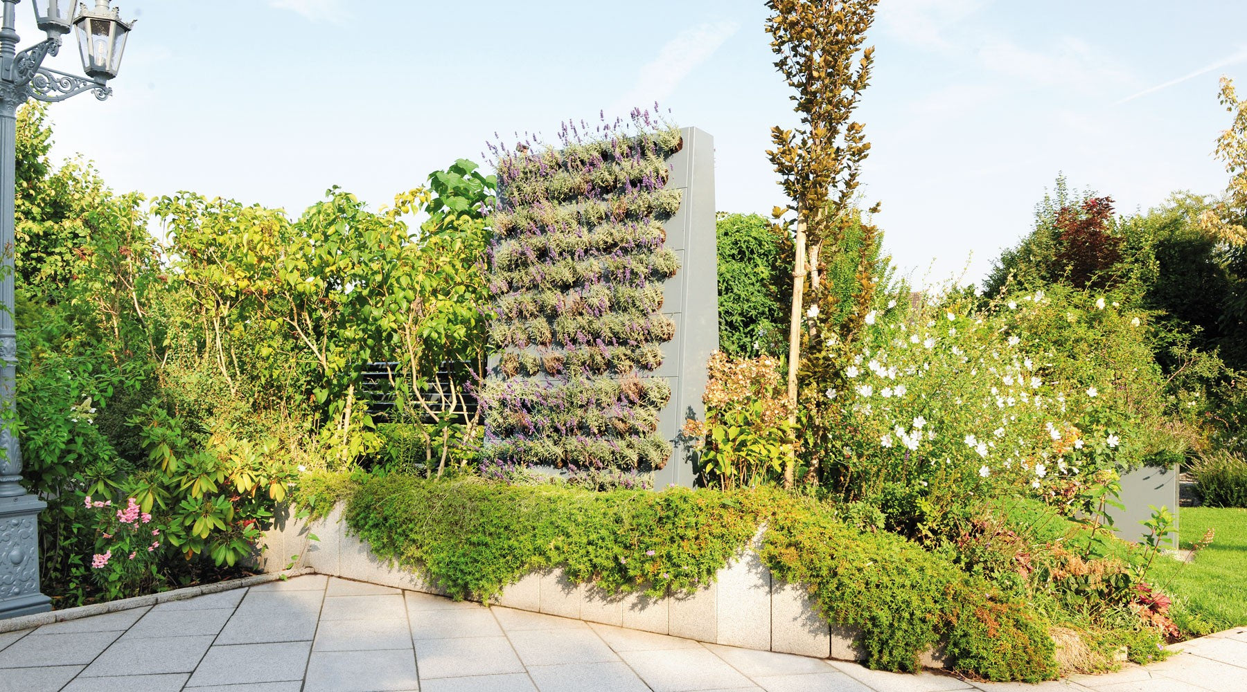 Plantenwand Eva: De Perfecte Oplossing voor Groene Vlakken in Kleine Ruimtes