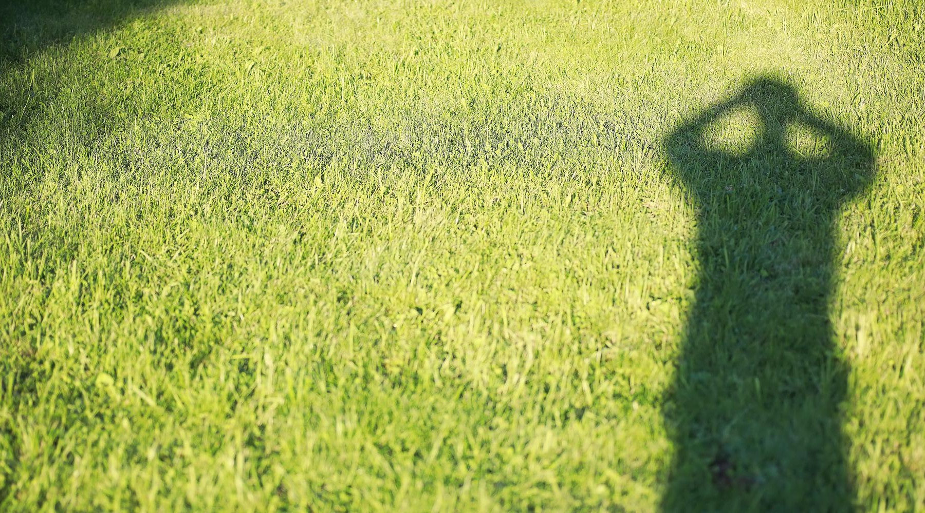 Gazon bemest? Pak in één keer ook het mos aan