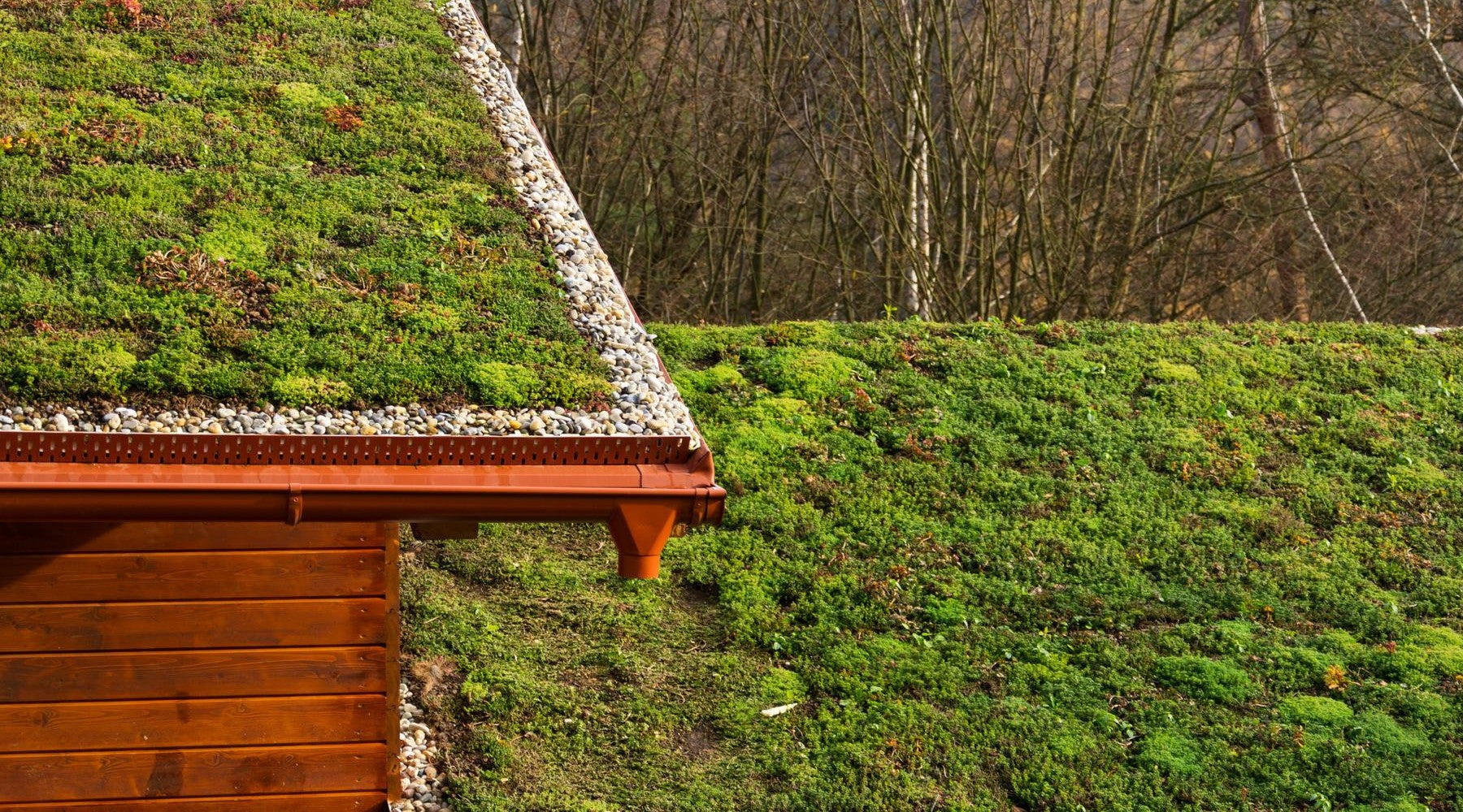 Energiebesparing door aanleg groendak