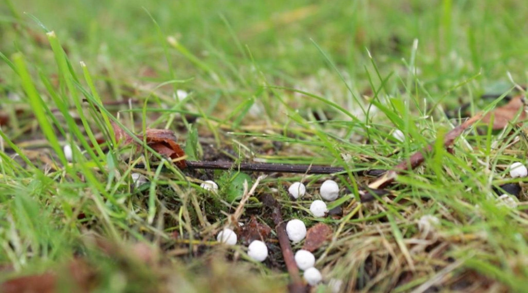 Jaarlijks kalken voor een tuin die zijn vitaliteit behoudt