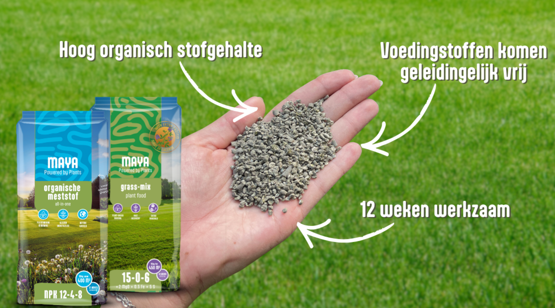 Waarom luzerne het verschil maakt onder de grond