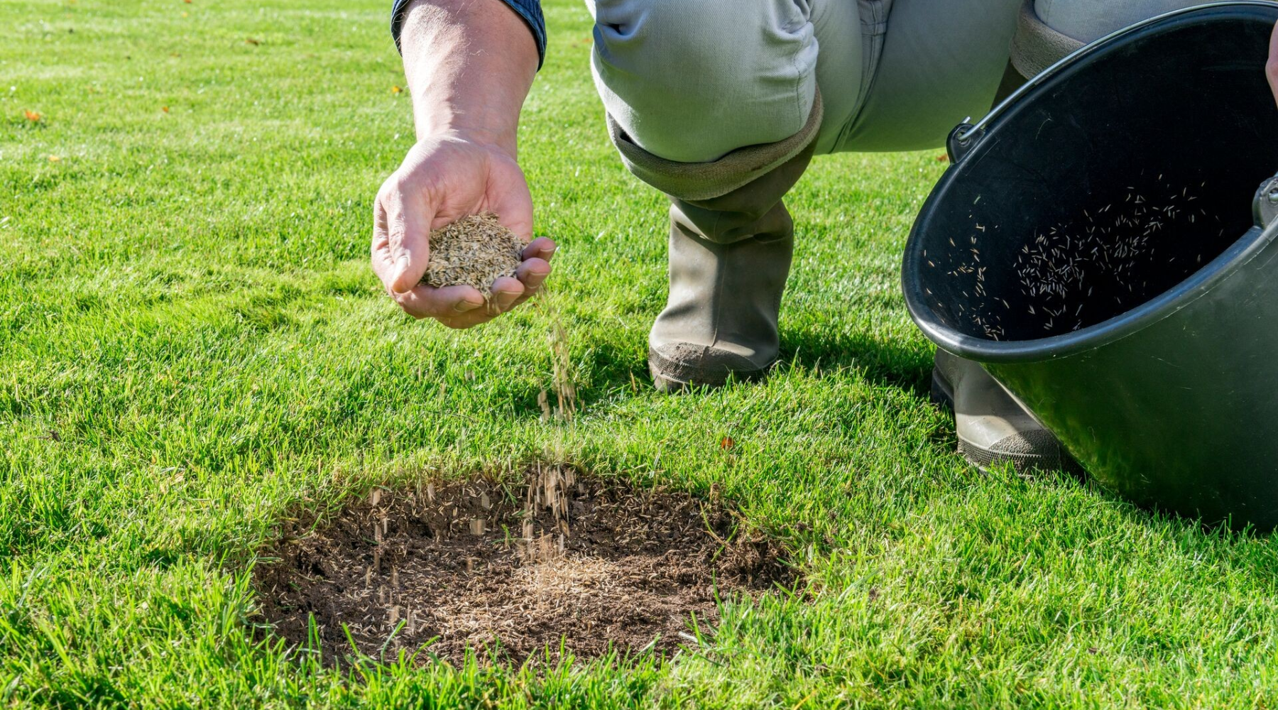 Een uitgekiend gazonmengsel kiezen