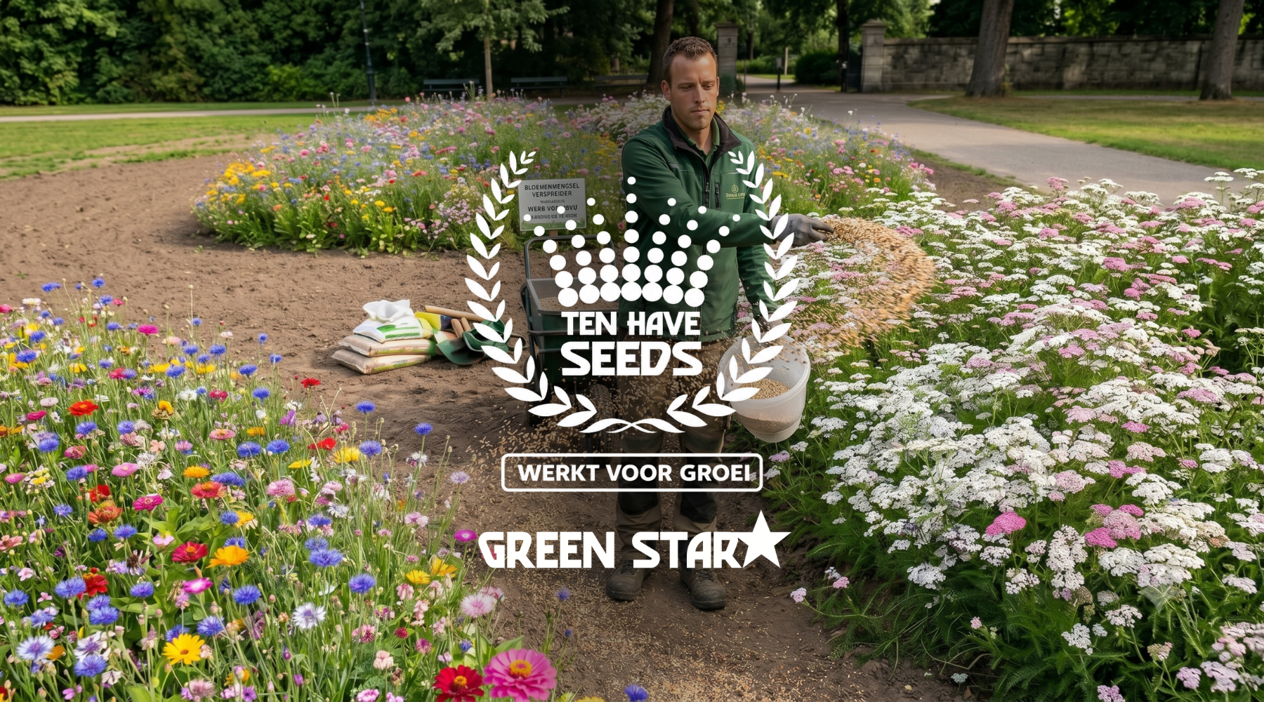 Meer kleur, meer leven | Ontdek de Green Star bloemenmengsels van Ten Have Seeds