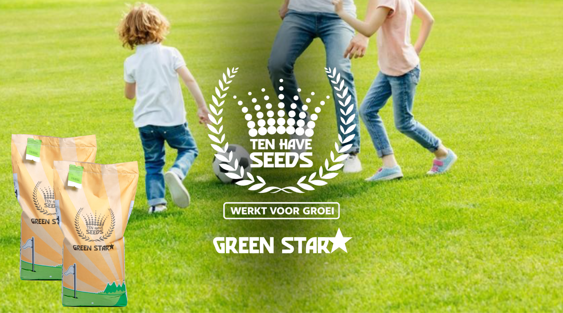 Ten Have Seeds | Opfrisgras, snel herstel voor intensief gebruikte sportvelden