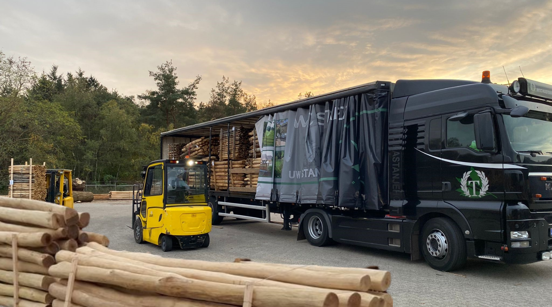 WTC Kastanjehout | Duurzaamheid en Natuurlijke schoonheid voor elke tuin