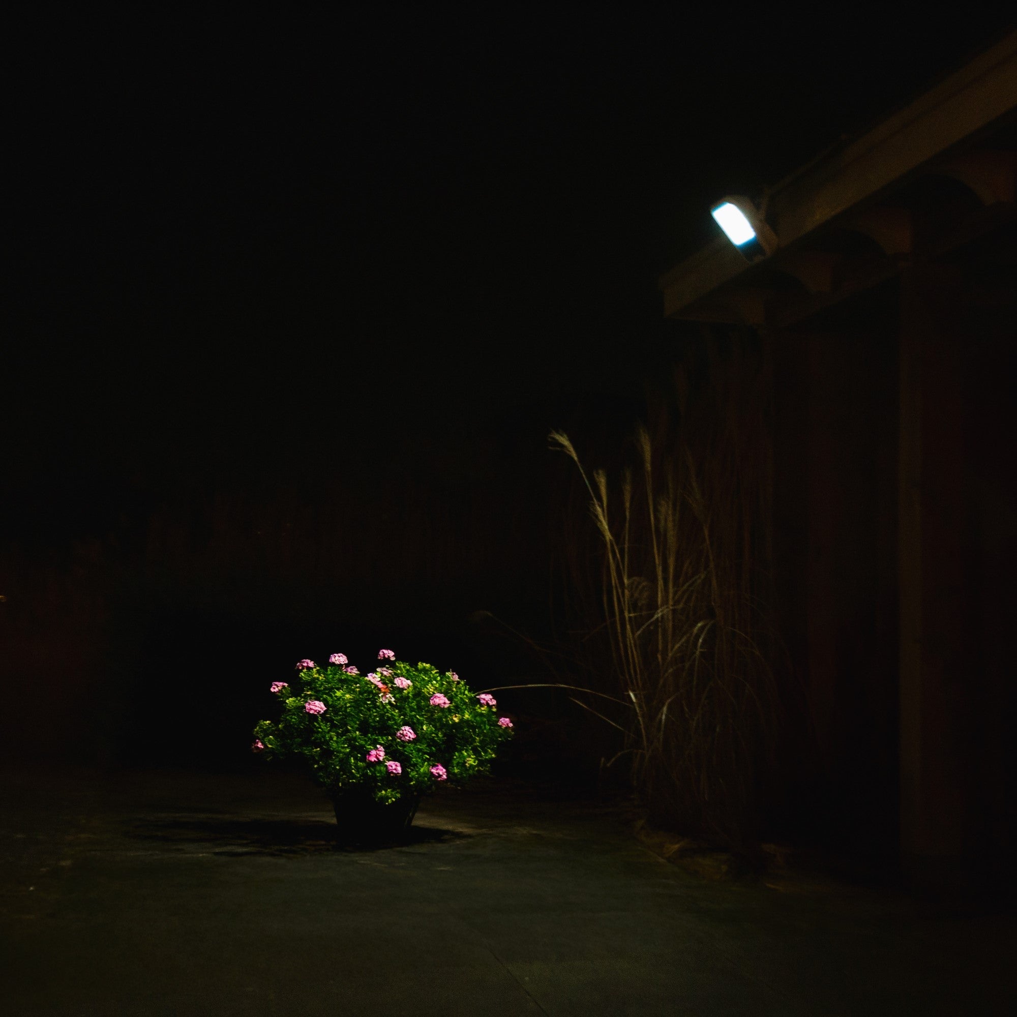 Iplux® Solar LED Schijnwerper PowerBeam Elite 4000lm