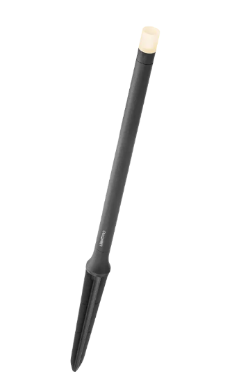 Erba medium