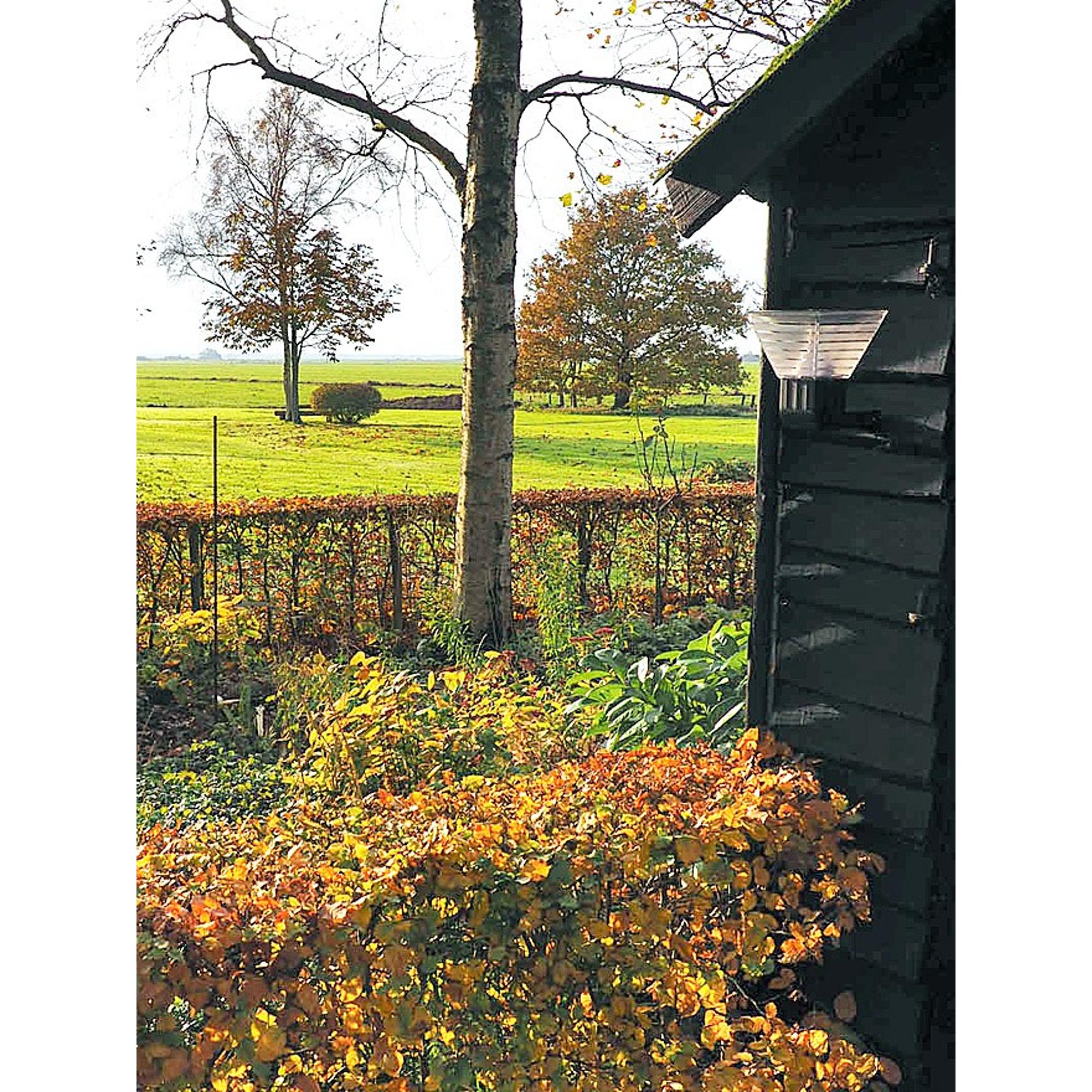 Iplux® Solar Wandlamp Berlin 25cm