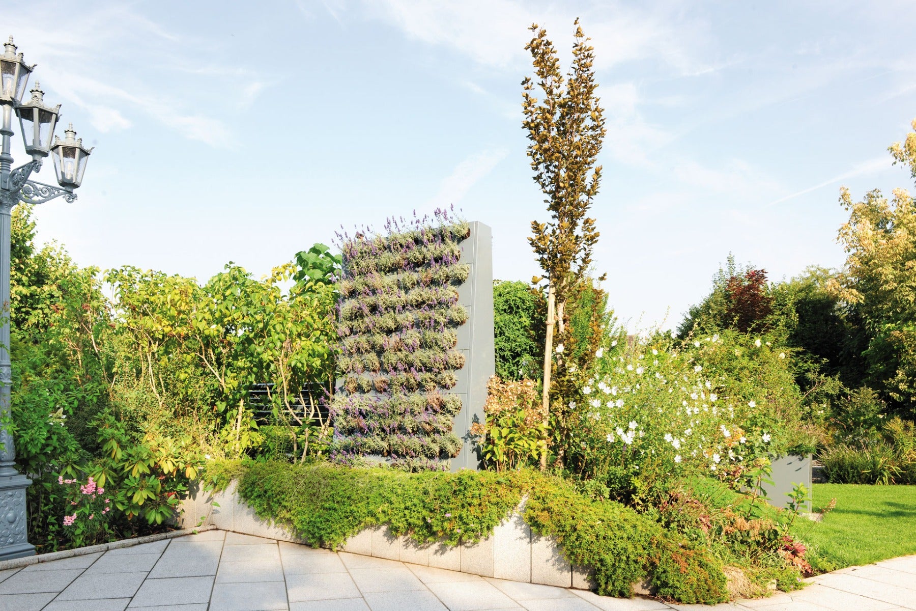 Plantenwand EVA