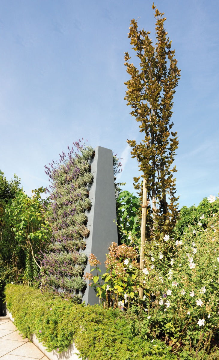 Plantenwand EVA