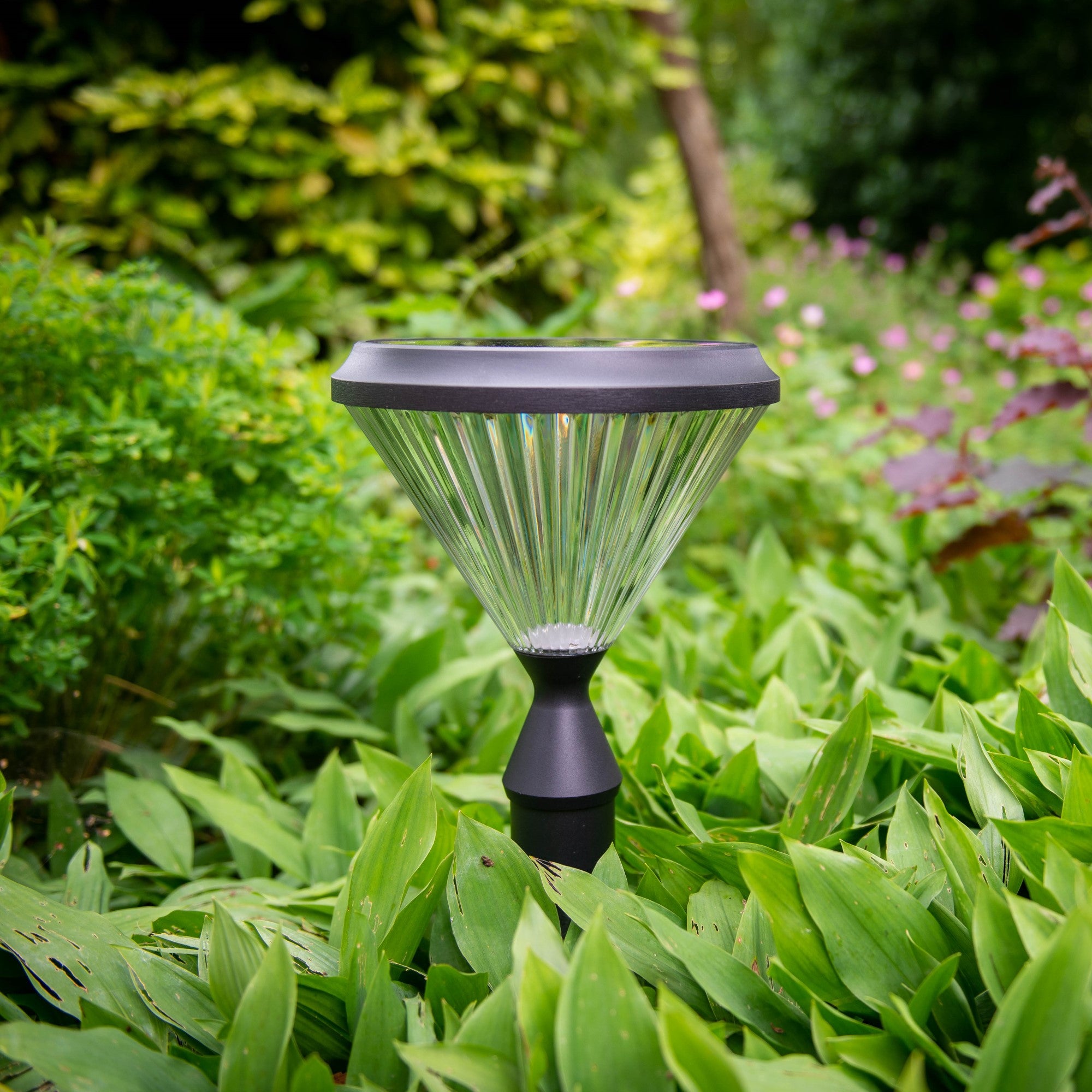 Iplux® Solar Lamp Staand Paris 75cm