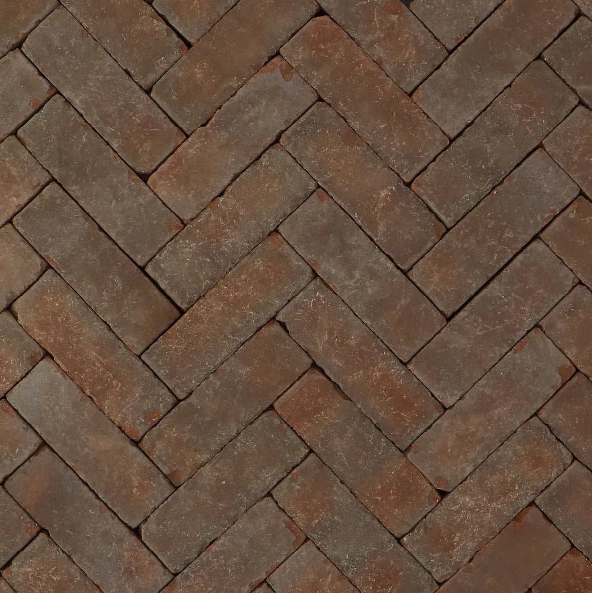Rustiek Dikformaat DF60 Snake