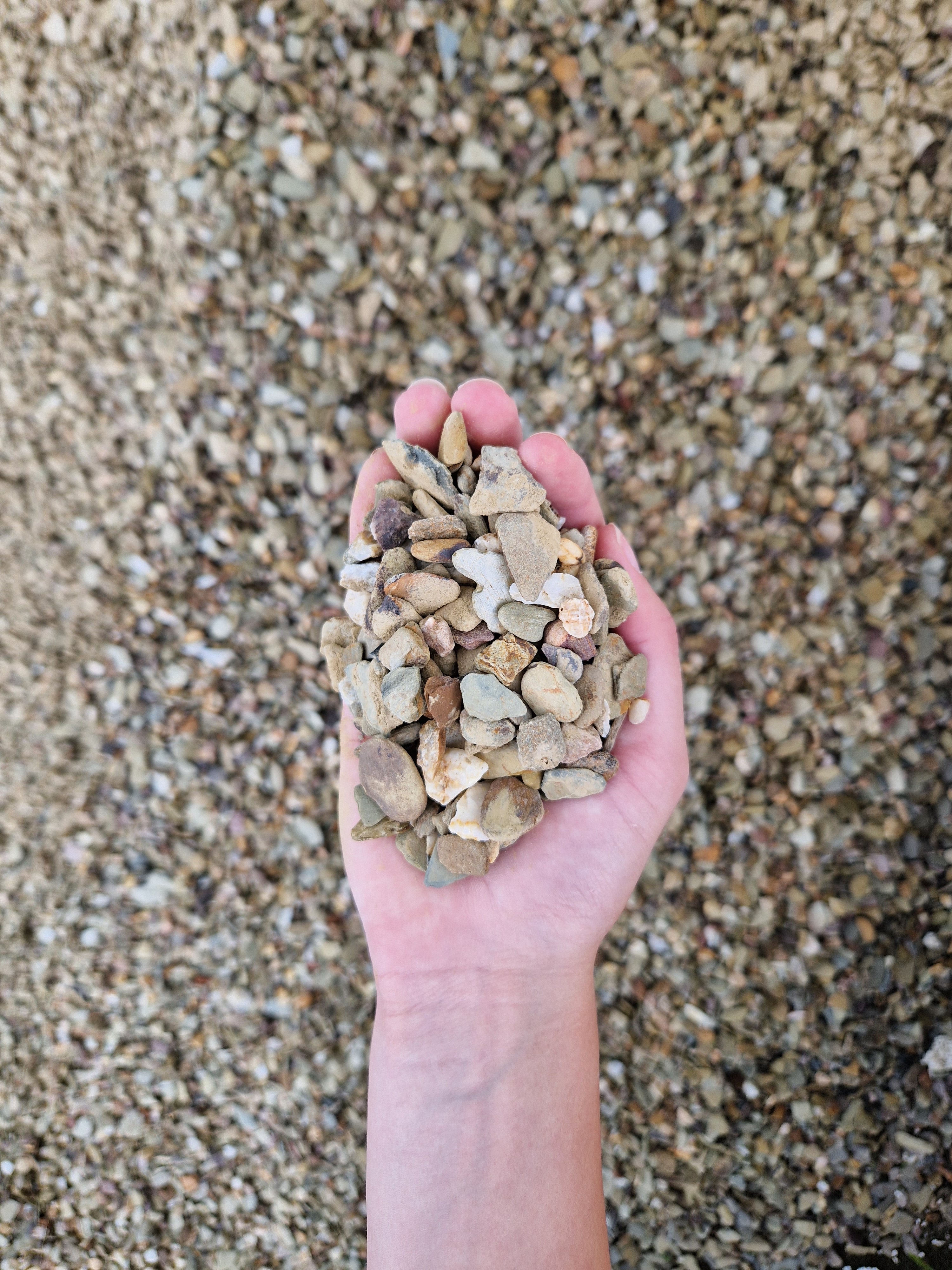 Flachkorn 8-16 mm Big Bag