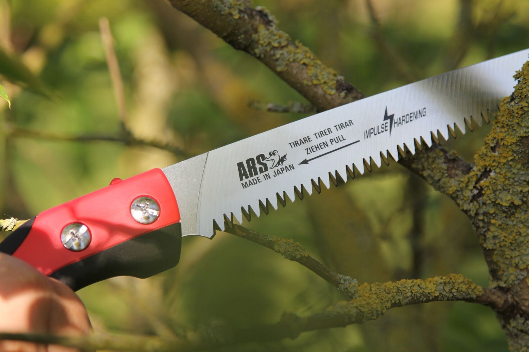 ARS Snoeizaag 32cm + holster, zwart/rood