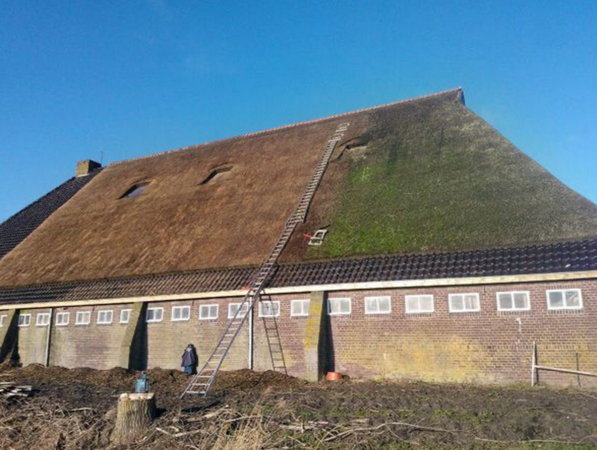 Buiten aanslagreiniger