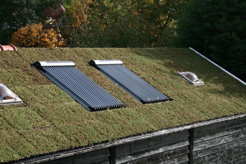 Sedum tray