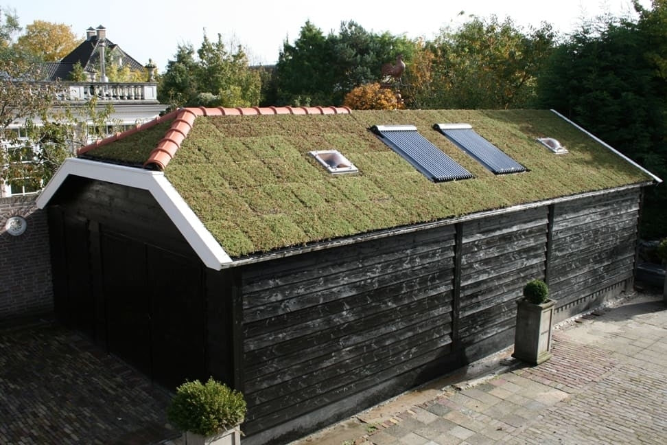 Sedum tray