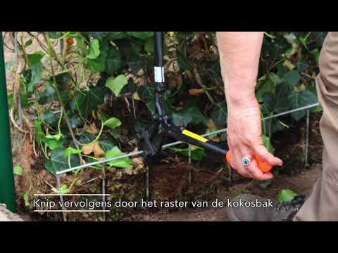 Hedera helix 'Woerner' 120 x 200 Mobilane Kant & Klaar Haag