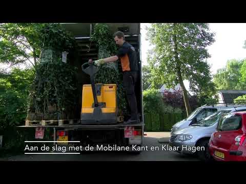 Hedera helix 'Woerner' 120 x 200 Mobilane Kant & Klaar Haag