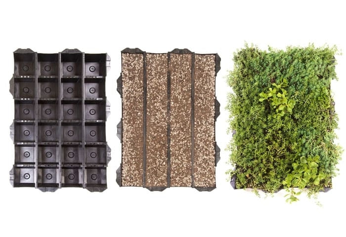 Sedum tray