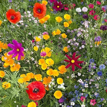 Green Star Vlinder Bloemen